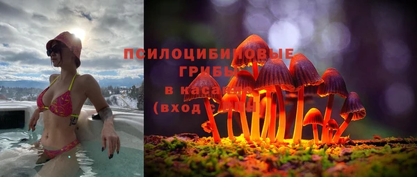марихуана Абаза