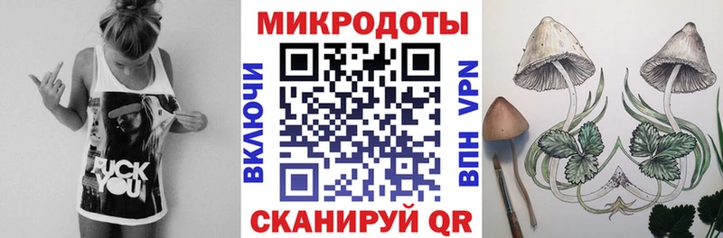 что такое наркотик  Щёлково  Псилоцибиновые грибы мицелий 